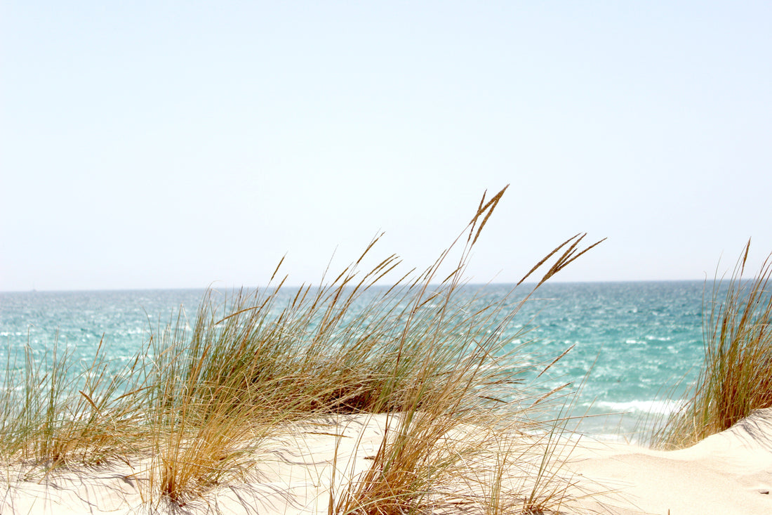Are all marine collagen supplements the same?